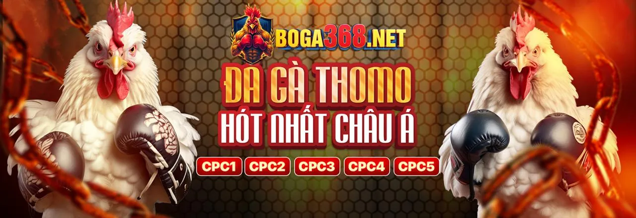 Chương trình VIP độc quyền của nhà cái qh88