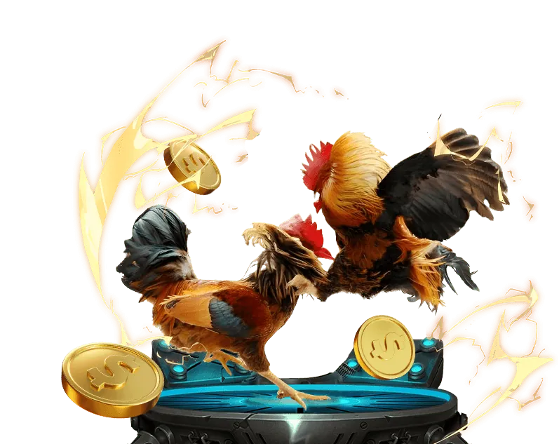 Cam Kết Của QH88